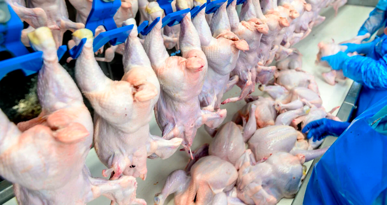 Vitória para o Agro - União Europeia Reabre Mercado para Carne de Frango e Peru do Brasil