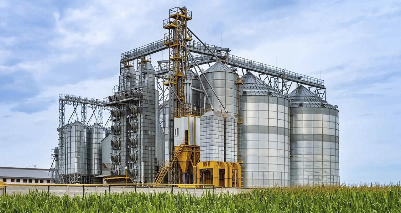 Deflação na Porta da Fábrica IPP Recua 0,25% e Exige Lupa nas Margens da Agroindústria