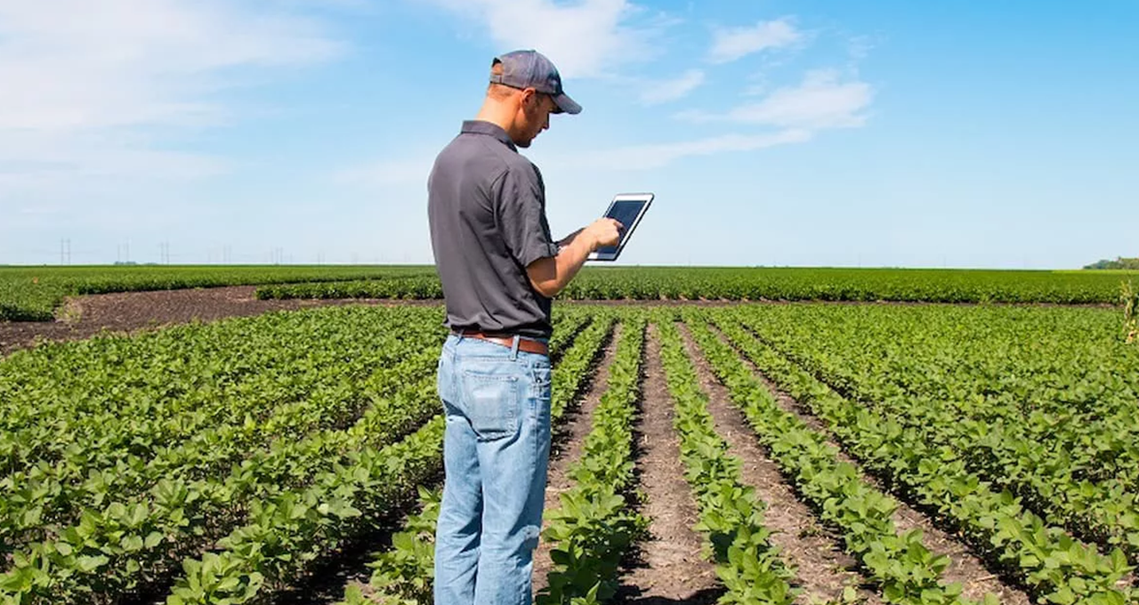 Open Finance do Agro avança na Câmara e pode mudar a precificação de risco em FIDCs rurais