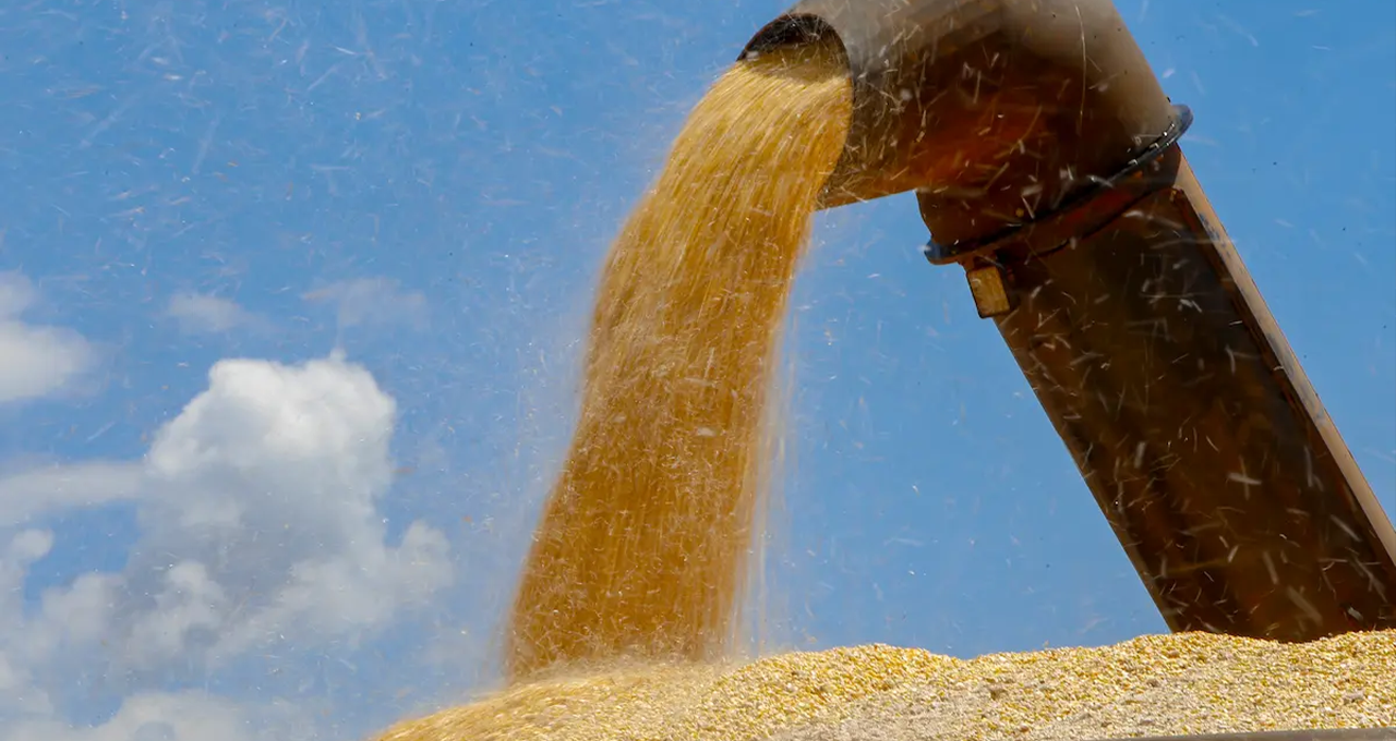 Renegociação de Dívidas Rurais Ameaça Qualidade das Carteiras de FIDC do Agro