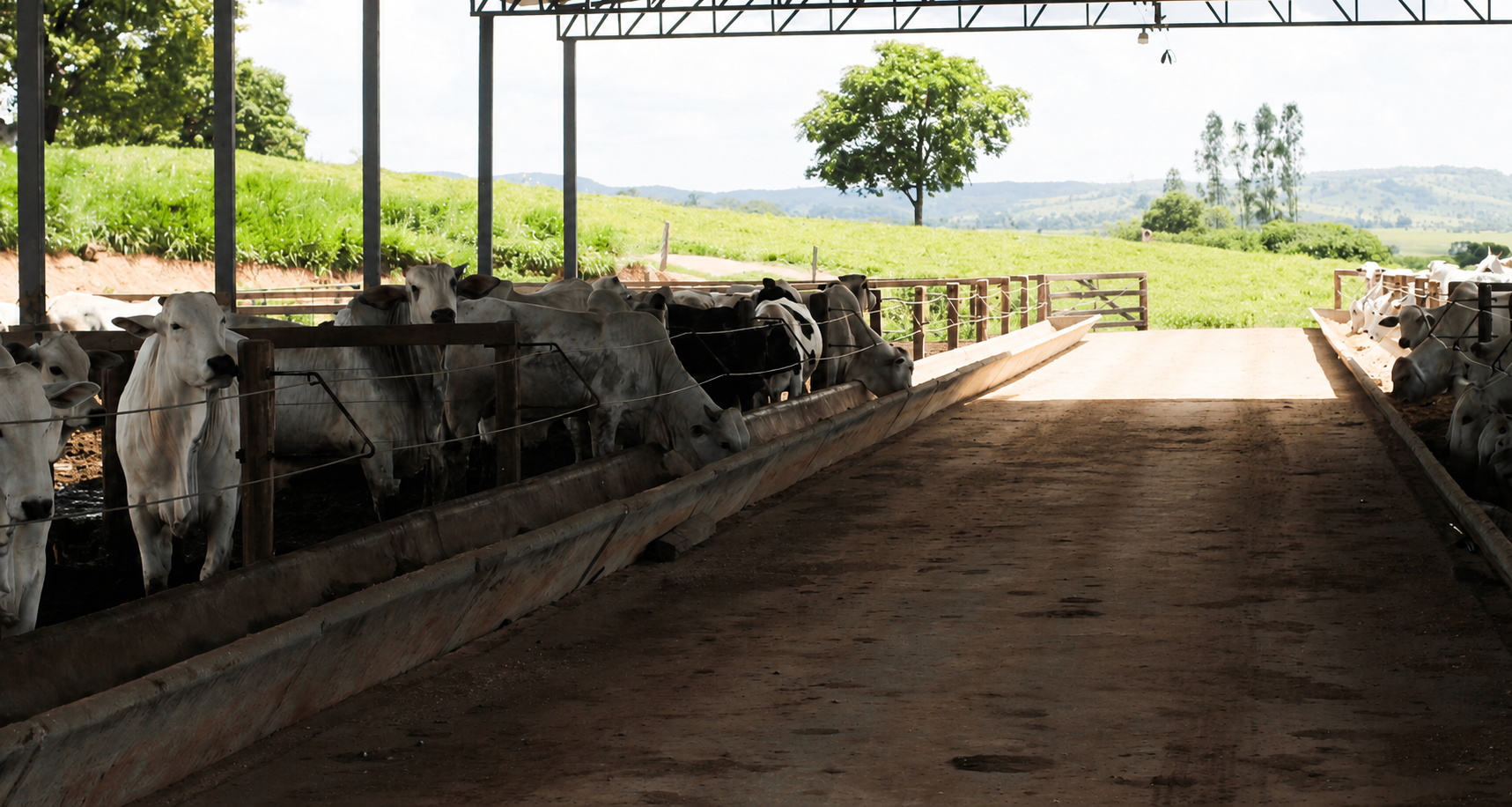 fazenda
