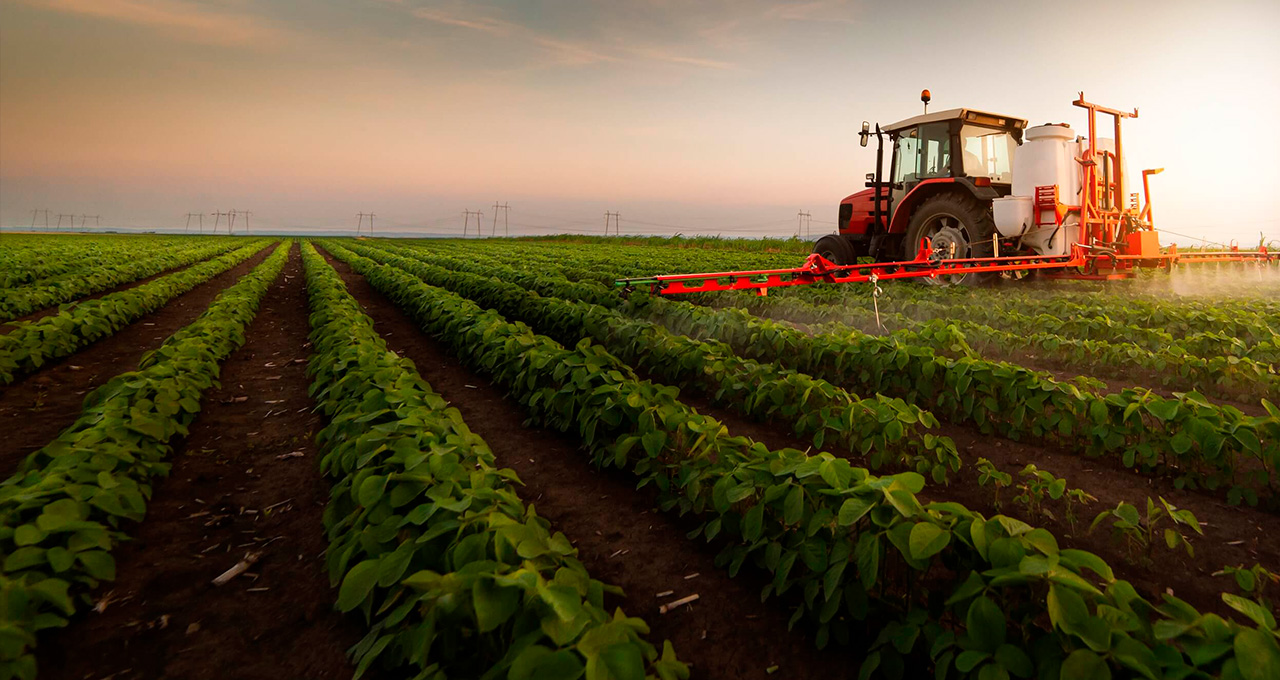 Crédito de R$ 13,3 bilhões vai atender o setor rural e financiar inovação no campo