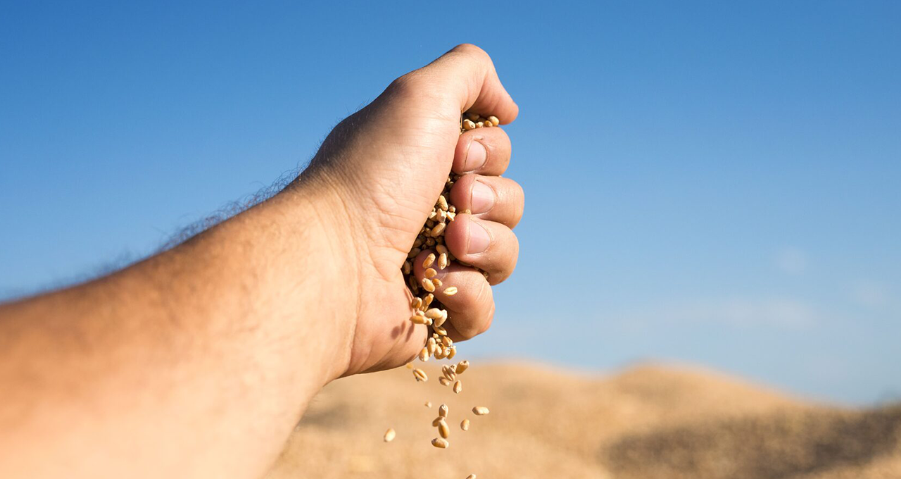 Crise no crédito rural aumenta risco de recebíveis do agro em FIDCs