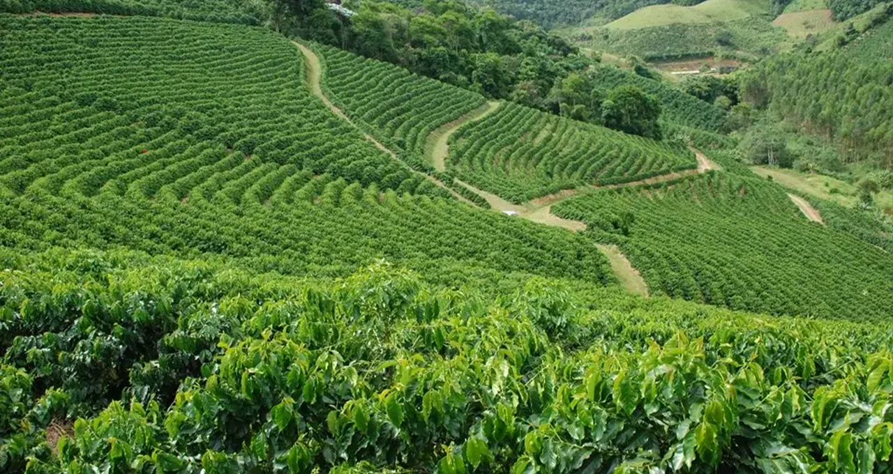 Inadimplência no crédito rural bate 7,6% e acende sinal amarelo para FIDCs do agro