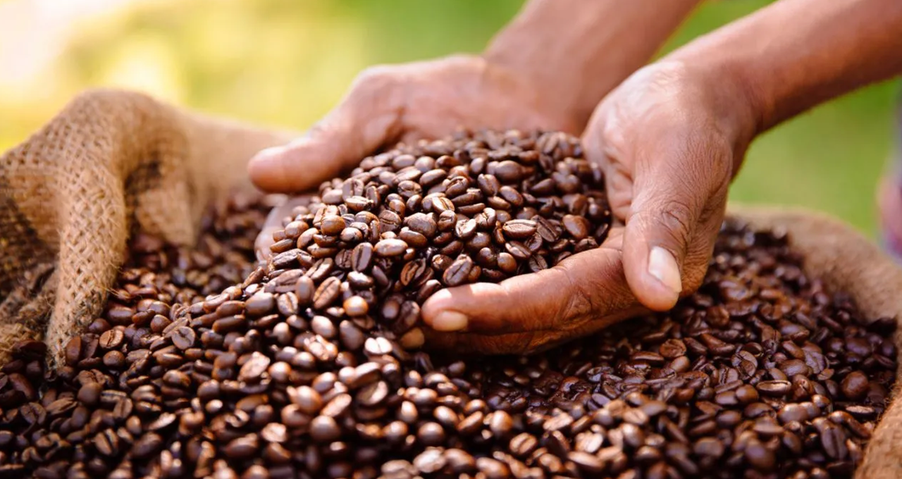 Ruiz Coffees suspende pagamentos a credores do mercado de capitais