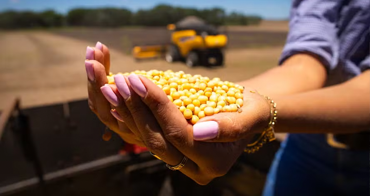 Soja atinge maior preço em seis meses e eleva valor de garantias no agro