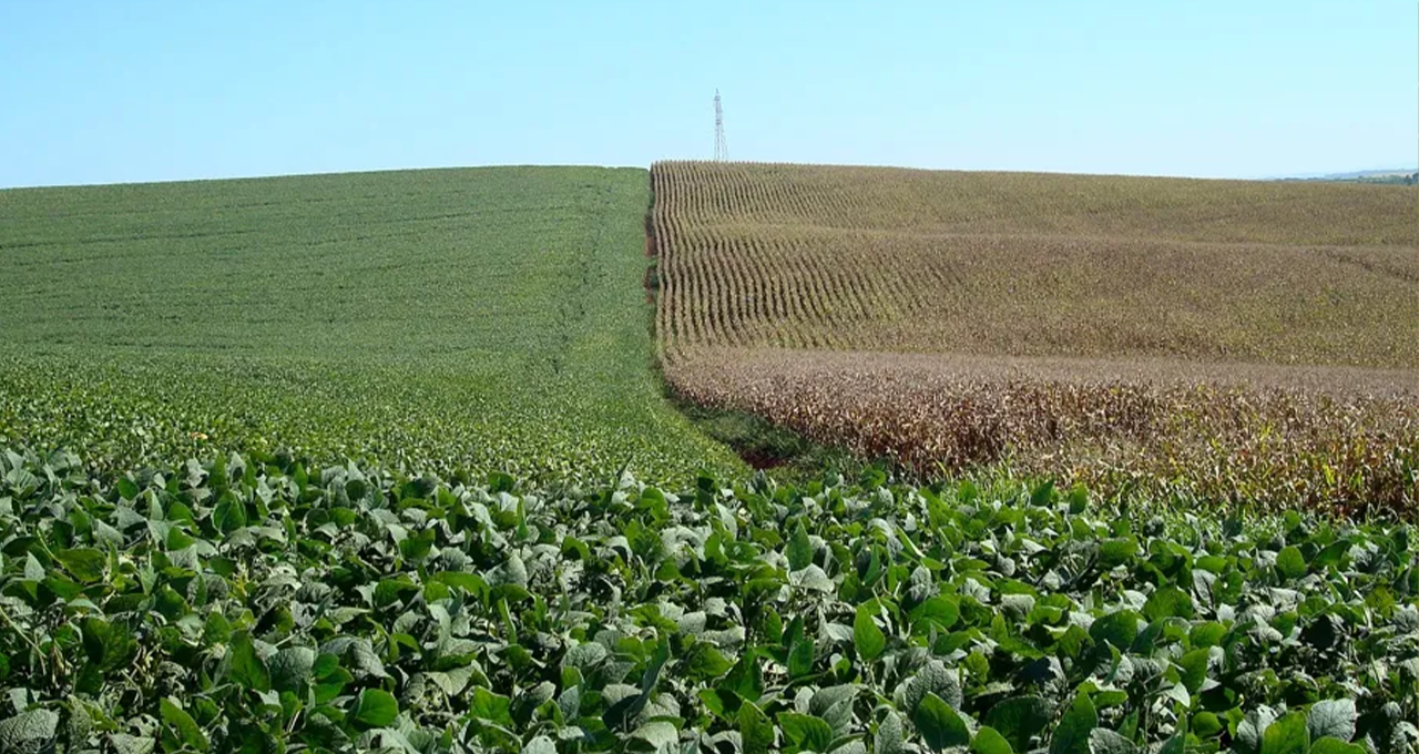 Clima extremo eleva risco de crédito e seguro no agronegócio brasileiro