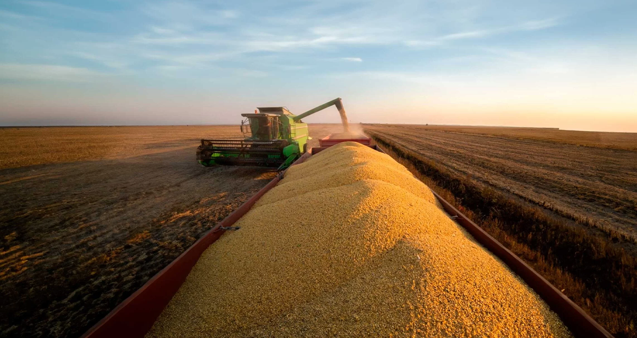 Safra 2026/27 pode aliviar caixa do produtor e reduzir risco de crédito no agro