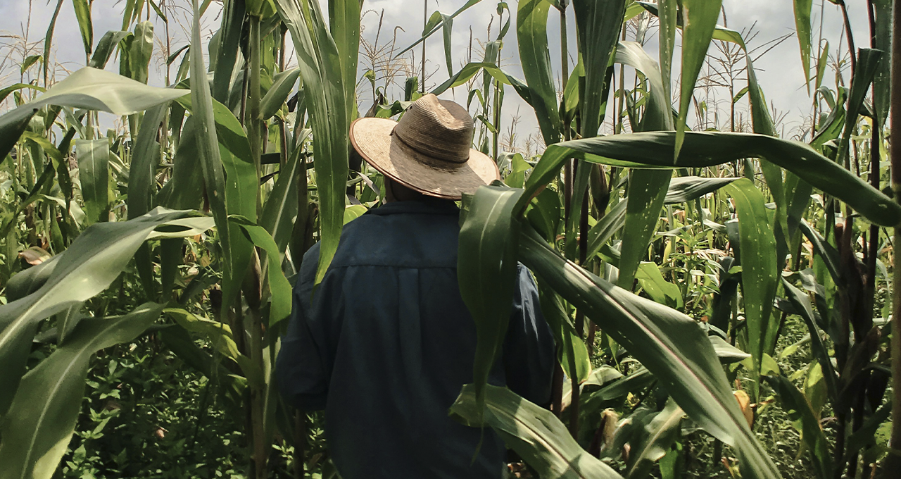 Safra 2026/27: custos, dívidas e clima testam recebíveis do agro