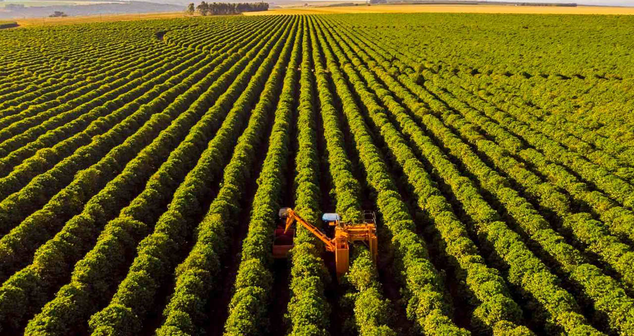 BrasilAgro volta a vender terras e fecha negócio de R$ 96,4 milhões pago em soja
